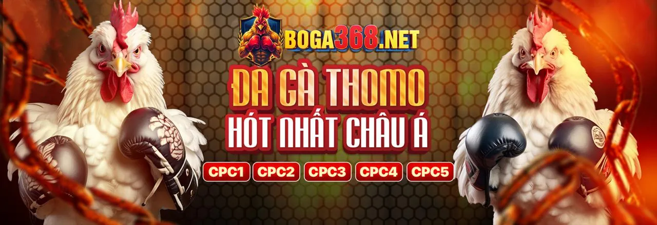 Hình ảnh giới thiệu Baowin Link Vào, cổng giải trí trực tuyến uy tín hàng đầu Việt Nam